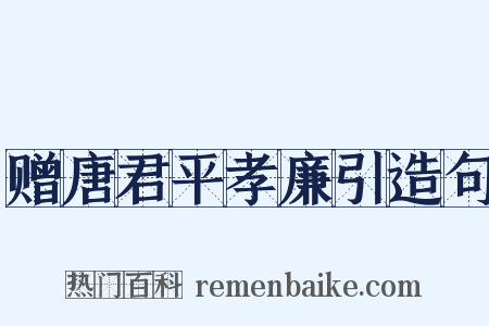 赠唐君平孝廉引造句是什么意思的图片